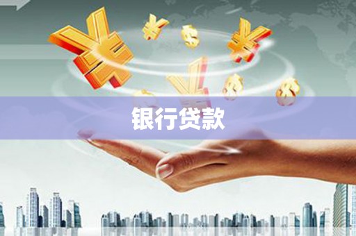 尼玛银行贷款