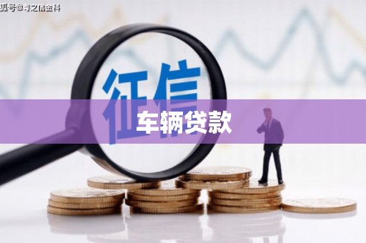 尼玛车辆贷款