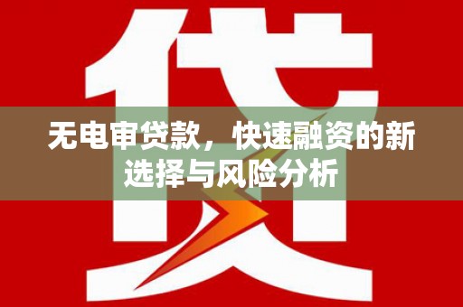 尼玛无电审贷款，快速融资的新选择与风险分析