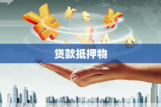 尼玛贷款抵押物