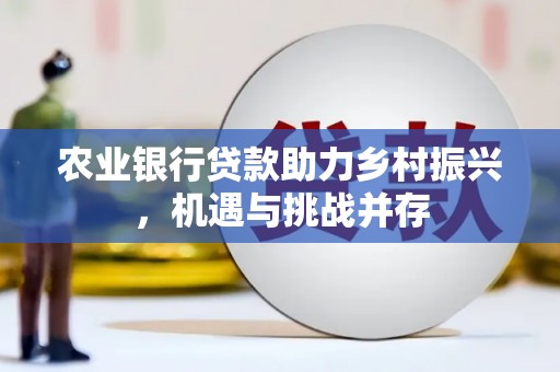 尼玛农业银行贷款助力乡村振兴，机遇与挑战并存