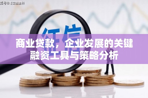 尼玛商业贷款，企业发展的关键融资工具与策略分析