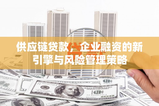 尼玛供应链贷款，企业融资的新引擎与风险管理策略