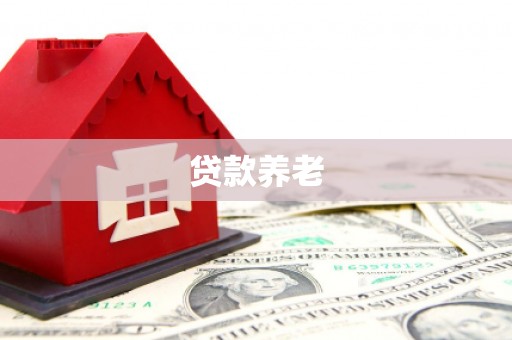 尼玛贷款养老