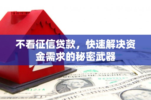 尼玛不看征信贷款，快速解决资金需求的秘密武器