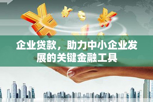 尼玛企业贷款，助力中小企业发展的关键金融工具