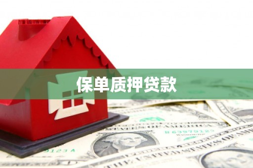 尼玛保单质押贷款