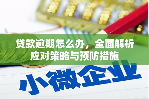 尼玛贷款逾期怎么办，全面解析应对策略与预防措施