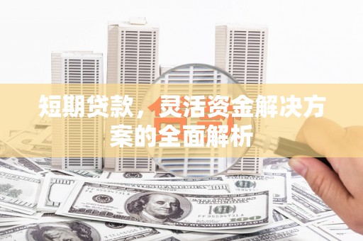 尼玛短期贷款，灵活资金解决方案的全面解析