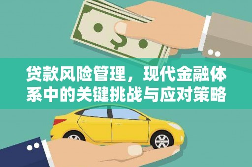 尼玛贷款风险管理，现代金融体系中的关键挑战与应对策略