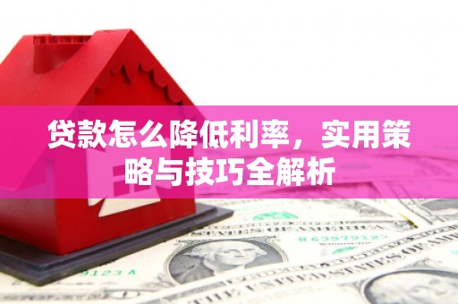 尼玛贷款怎么降低利率，实用策略与技巧全解析