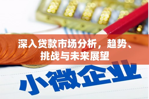 尼玛深入贷款市场分析，趋势、挑战与未来展望