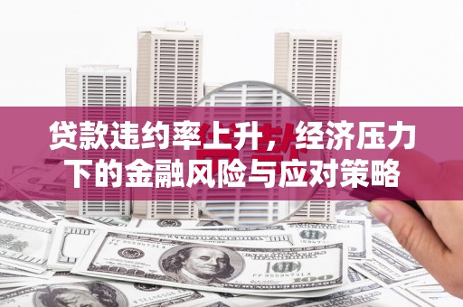 尼玛贷款违约率上升，经济压力下的金融风险与应对策略