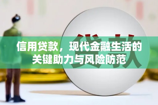 尼玛信用贷款，现代金融生活的关键助力与风险防范