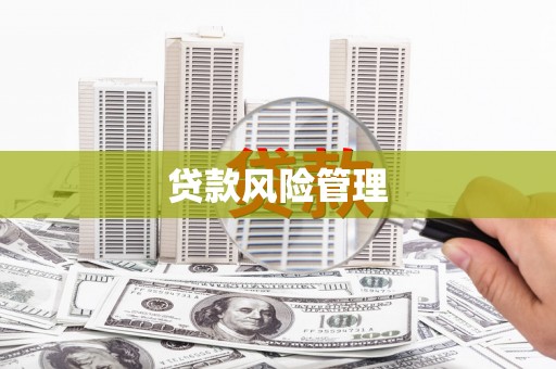 尼玛贷款风险管理
