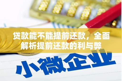 尼玛贷款能不能提前还款，全面解析提前还款的利与弊