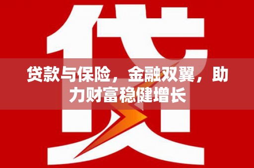 尼玛贷款与保险，金融双翼，助力财富稳健增长
