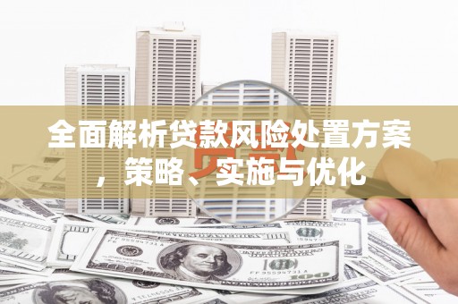 尼玛全面解析贷款风险处置方案，策略、实施与优化