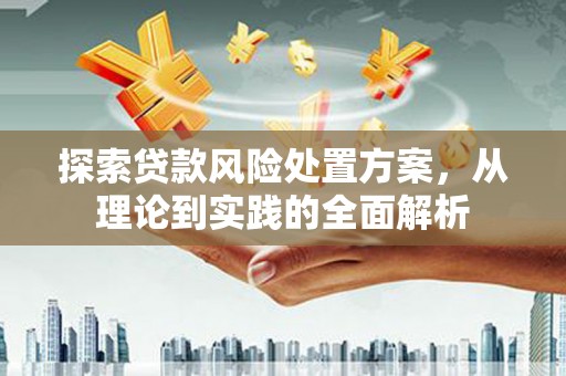 尼玛探索贷款风险处置方案，从理论到实践的全面解析