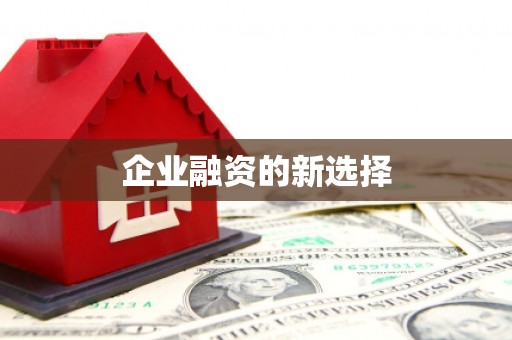 尼玛企业融资的新选择