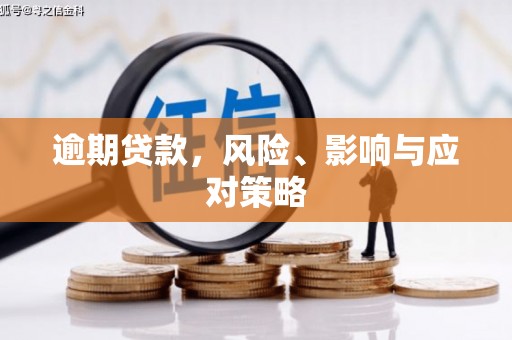 尼玛逾期贷款，风险、影响与应对策略