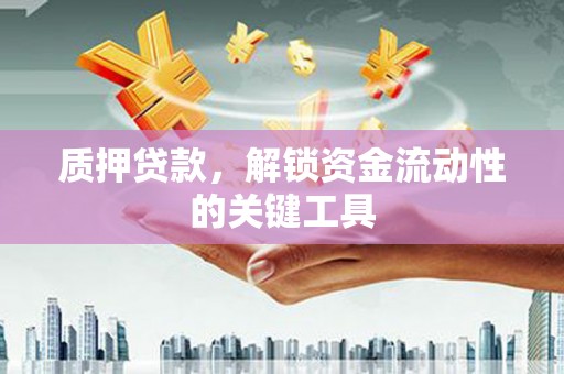 尼玛质押贷款，解锁资金流动性的关键工具
