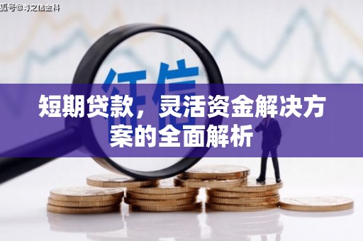 尼玛短期贷款，灵活资金解决方案的全面解析