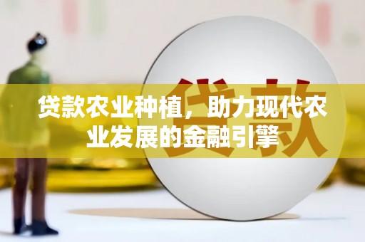 尼玛贷款农业种植，助力现代农业发展的金融引擎