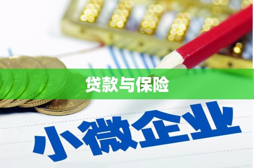尼玛贷款与保险