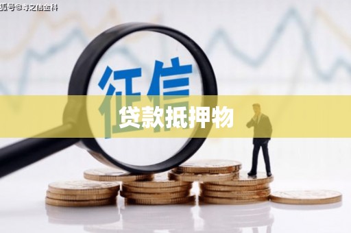 尼玛贷款抵押物