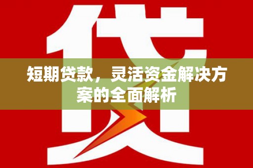 尼玛短期贷款，灵活资金解决方案的全面解析