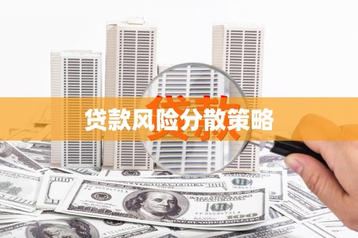 尼玛贷款风险分散策略