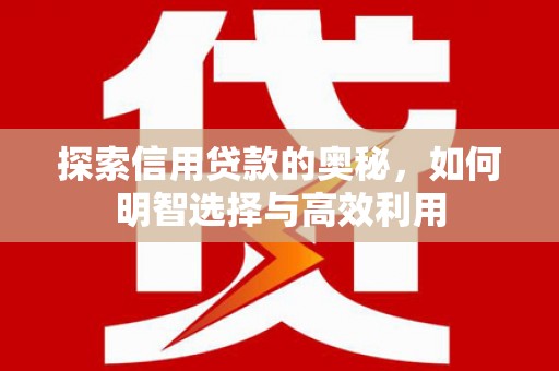 尼玛探索信用贷款的奥秘，如何明智选择与高效利用