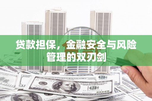 尼玛贷款担保，金融安全与风险管理的双刃剑