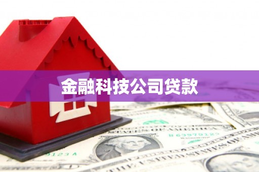 尼玛金融科技公司贷款
