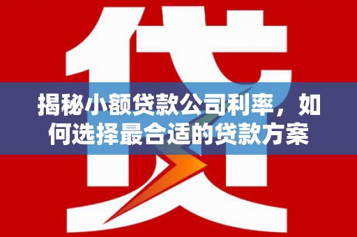 尼玛揭秘小额贷款公司利率，如何选择最合适的贷款方案