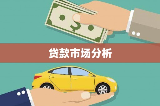 尼玛贷款市场分析