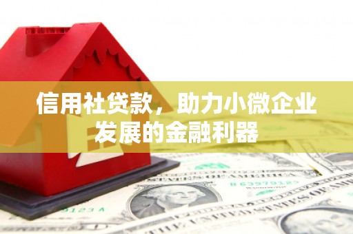 尼玛信用社贷款，助力小微企业发展的金融利器