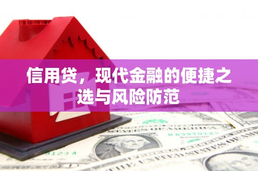 尼玛信用贷，现代金融的便捷之选与风险防范