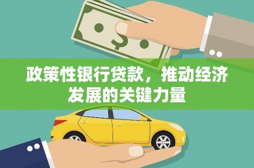 尼玛政策性银行贷款，推动经济发展的关键力量