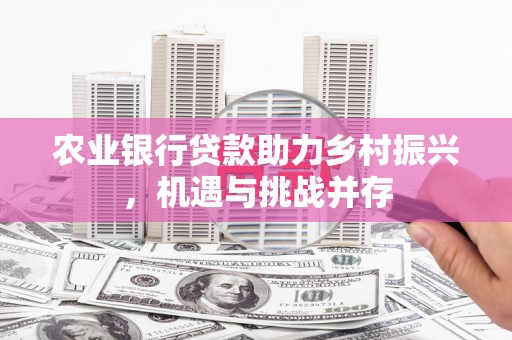 尼玛农业银行贷款助力乡村振兴，机遇与挑战并存