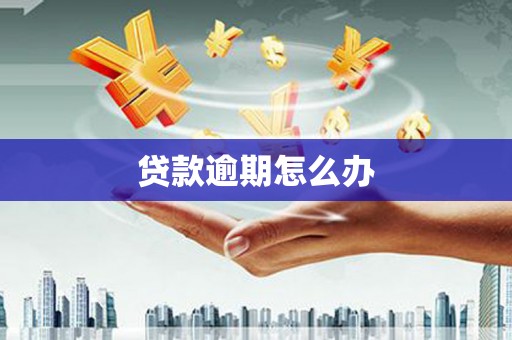 尼玛贷款逾期怎么办