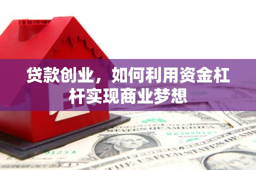 尼玛贷款创业，如何利用资金杠杆实现商业梦想