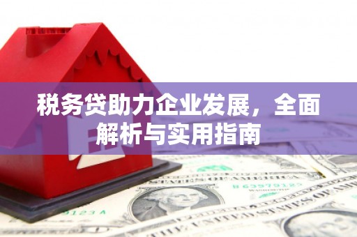 尼玛税务贷助力企业发展，全面解析与实用指南