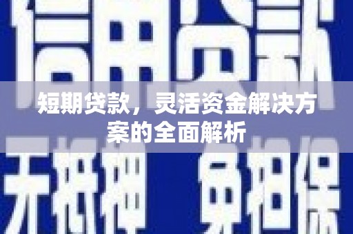 尼玛短期贷款，灵活资金解决方案的全面解析
