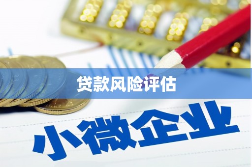 尼玛贷款风险评估