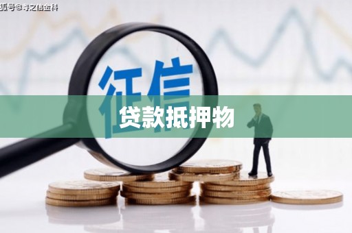 尼玛贷款抵押物