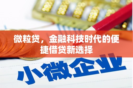尼玛微粒贷，金融科技时代的便捷借贷新选择