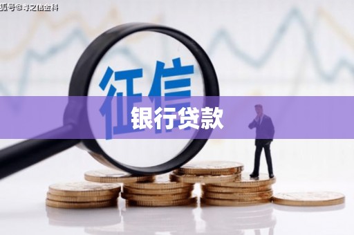 尼玛银行贷款