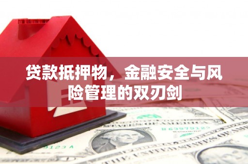 尼玛贷款抵押物，金融安全与风险管理的双刃剑